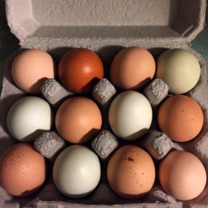 apricot-lane-farms-eggs-3-favorite-brands