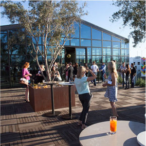 brand collaborations