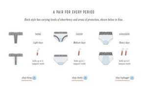 thinx period panties shapes