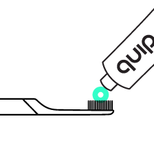 quip toothbrush graphic