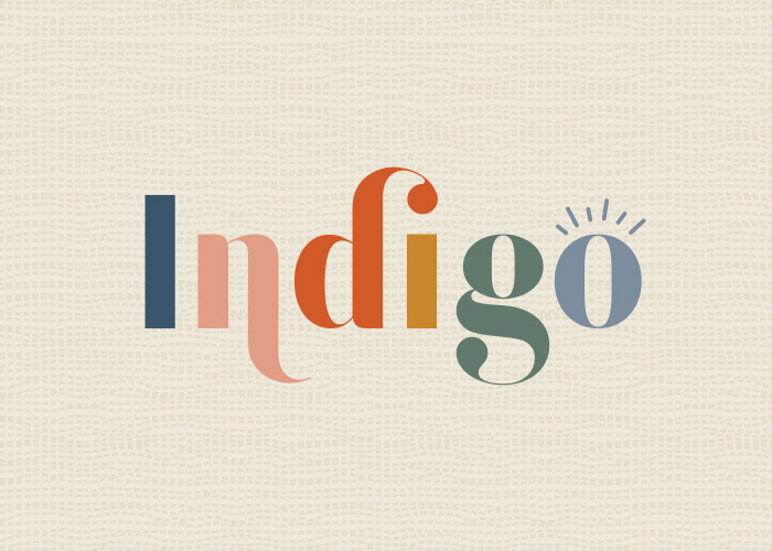 brand development identity indigo logo