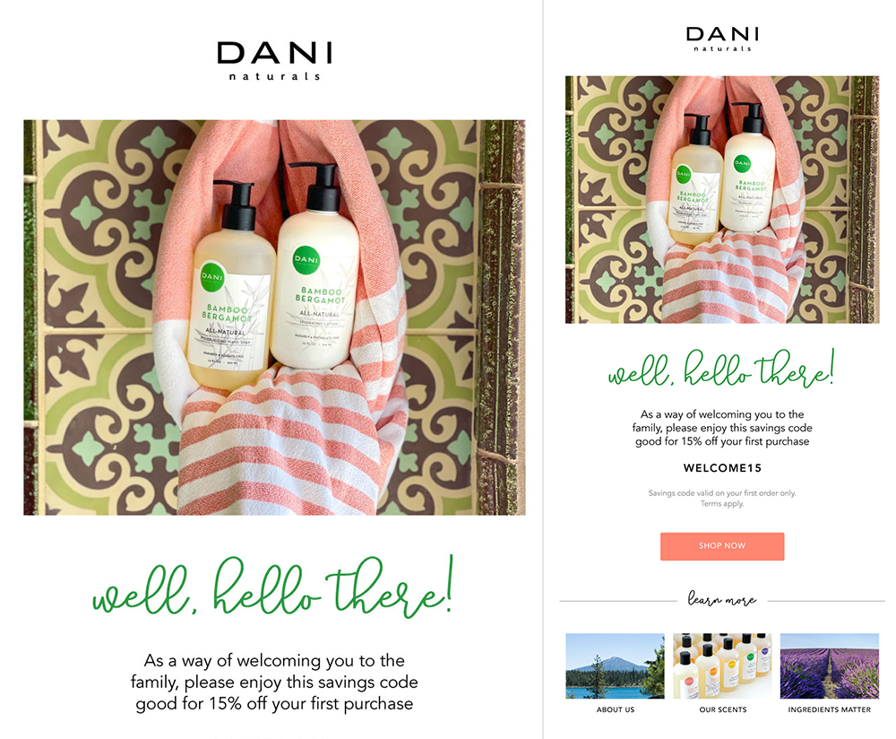 dani natural intergrated marketing email campaigns targeted audiences