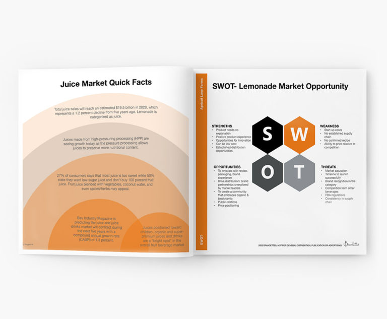 Apricot Lane Farms Lemonade Brandettes