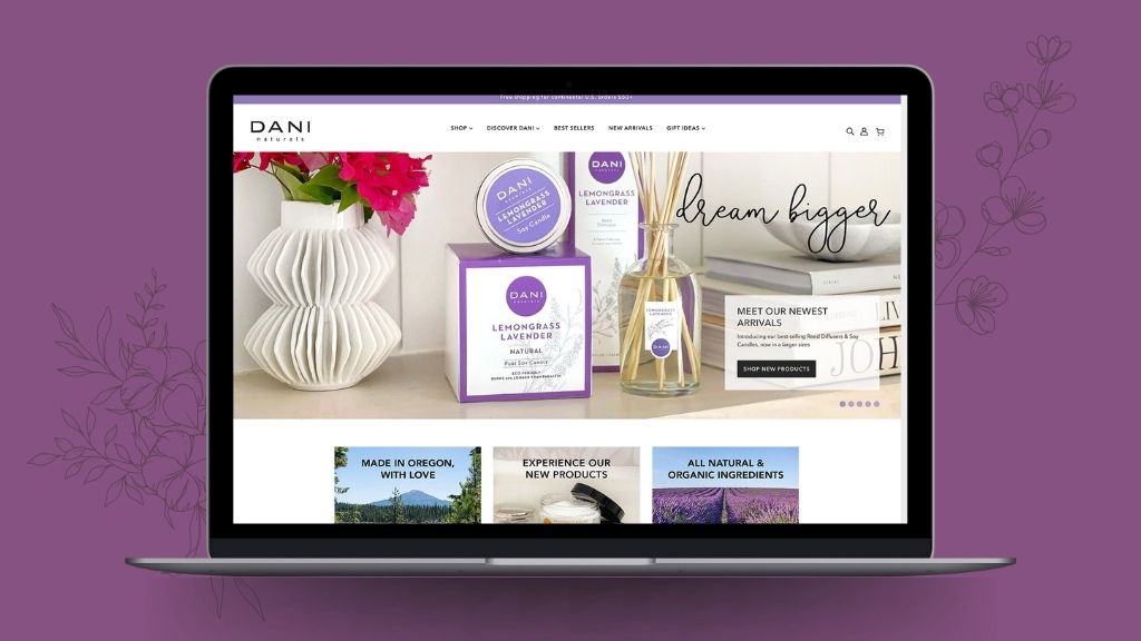 DANI website